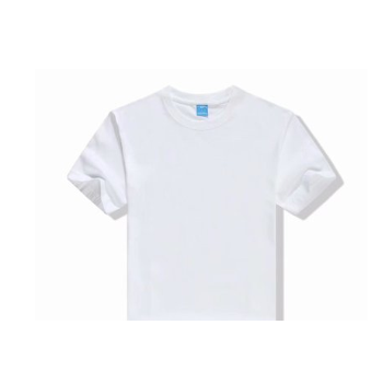 工厂直销蓝标圆领短袖纯全棉圆领短袖广告衫定制印绣logo白色210g
