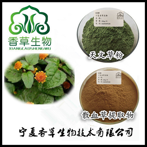 天文草提取物28:1 香草供应散血草粉水溶型 金纽扣浓缩液生产厂家图3