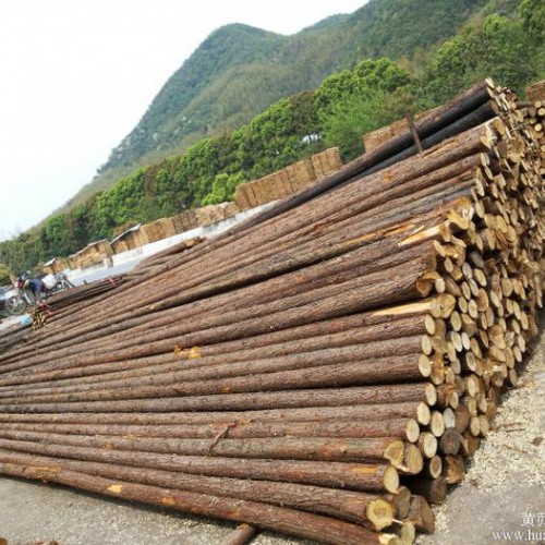 北京大量批发河道防汛松木桩、杉木桩、园林景观绿化杉木杆杉杆，竹竿，草绳、草帘、竹笆片、筋笆片、无纺布、防尘网、土盖网图2